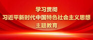 操骚逼美女逼学习贯彻习近平新时代中国特色社会主义思想主题教育_fororder_ad-371X160(2)